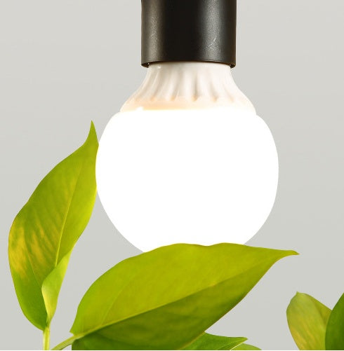 Lampara colgante y Macetero/ Ecofriendly/ Homestay Plant Personality Creative Lamps