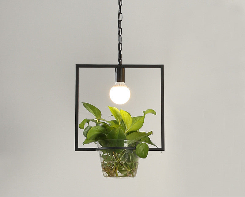 Lampara colgante y Macetero/ Ecofriendly/ Homestay Plant Personality Creative Lamps