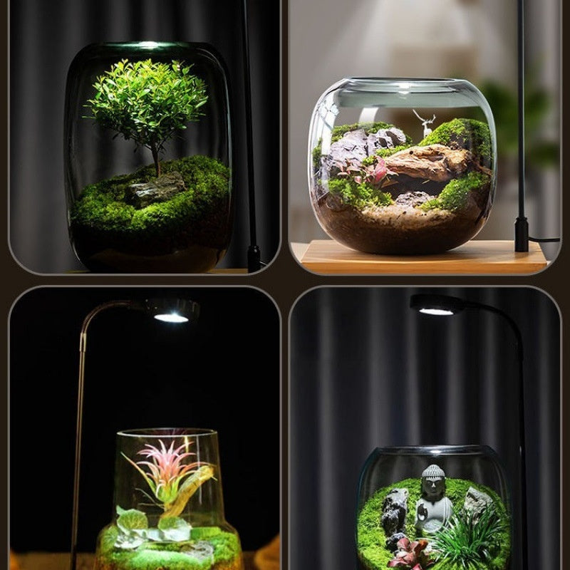 Lampara de escritorio para planta acuática/ Led Micro Landscape Fish Tank Plant Four Seasons Desktop Water Plant Lamp