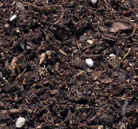 Micro cuarzo para paisajismo, Micro Landscape Diy Material Pack Eco-bottle To Make Nutritious Soil Light Stone Moss Moss