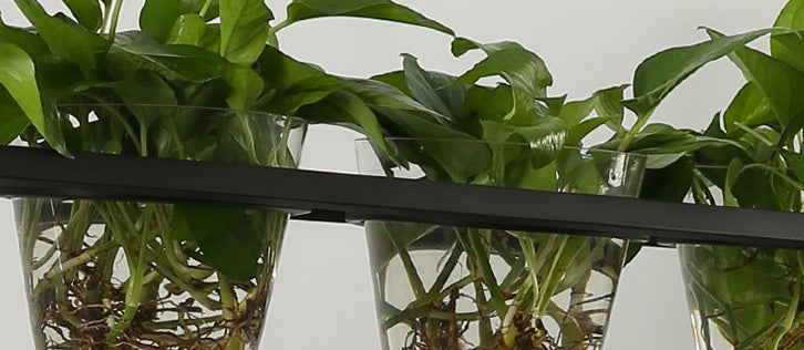 Lampara colgante y Macetero/ Ecofriendly/ Homestay Plant Personality Creative Lamps