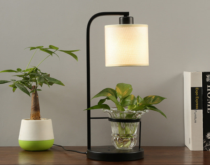 Lampara colgante y Macetero/ Ecofriendly/ Homestay Plant Personality Creative Lamps