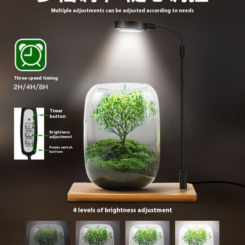 Lampara de escritorio para planta acuática/ Led Micro Landscape Fish Tank Plant Four Seasons Desktop Water Plant Lamp