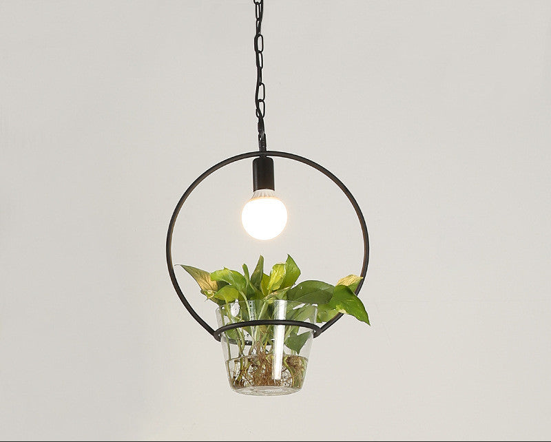Lampara colgante y Macetero/ Ecofriendly/ Homestay Plant Personality Creative Lamps